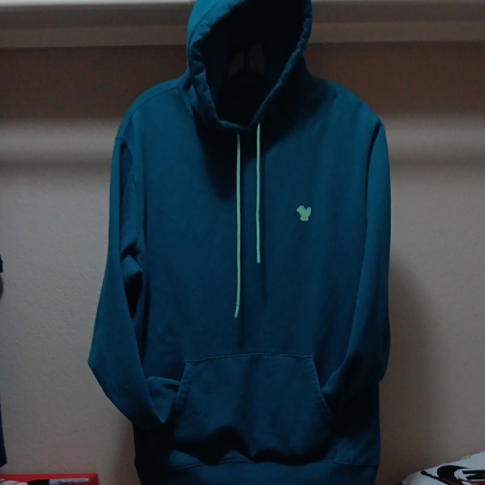 Bad Birdie Mens Hoody